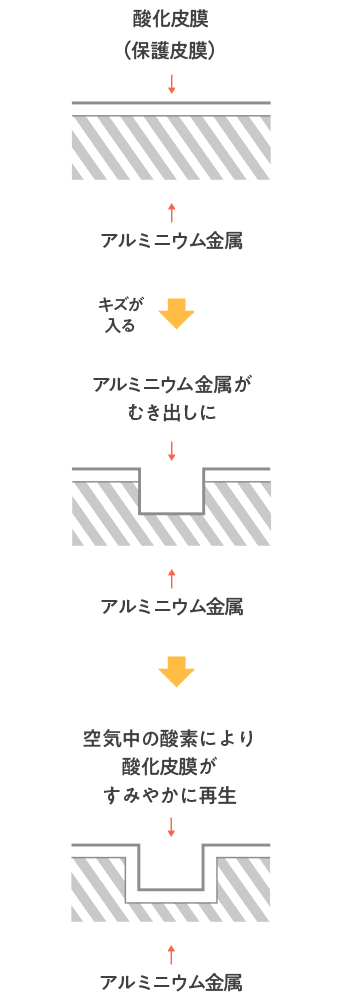 酸化皮膜(保護皮膜)は、キズが入るとアルミニウム金属層がむき出しになりますが、空気中の酸素により酸化皮膜がすみやかに再生されます。